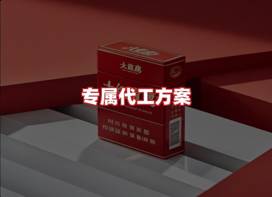 专业团队
